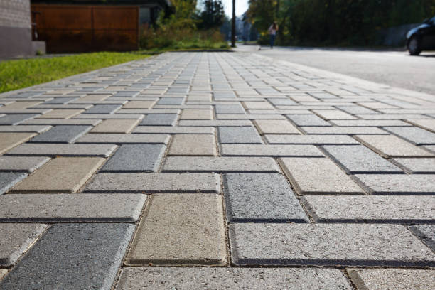 Best Driveway Paving Near Me  in Collinwood, TN
