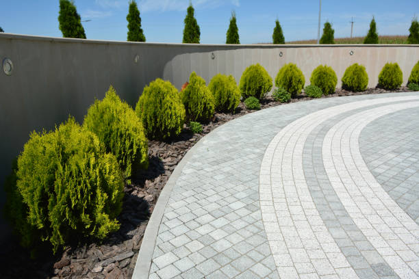 Best Concrete Paver Driveway  in Collinwood, TN
