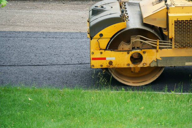 Best Driveway Pavers Near Me  in Collinwood, TN