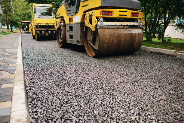 Best Local Driveway Pavers  in Collinwood, TN